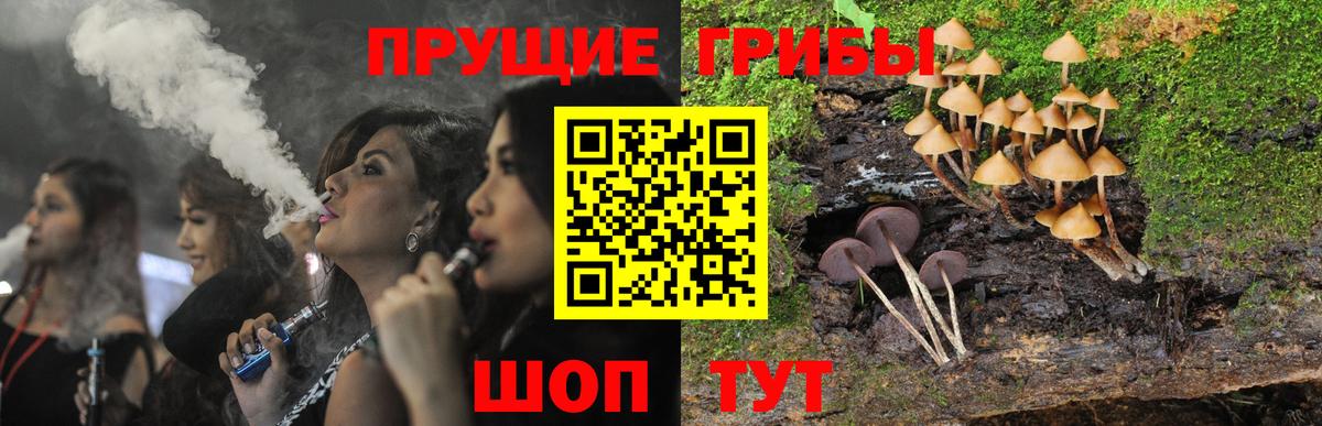 Галлюциногенные грибы MAGIC MUSHROOMS Каменск-Уральский